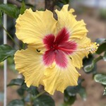 ユートピアファーム宮古島 - 