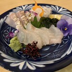 旬彩 に志川 - くえお造り