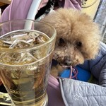 大衆酒場 晩杯屋 - シェリと乾杯♪