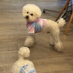 サッカバッカ - 可愛いでしょ～♪