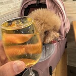 サッカバッカ - グラスワイン白で乾杯♪