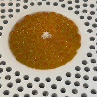 SEZANNE - 
