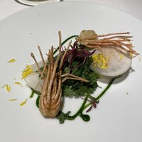 ロドラント ミノルナキジン - 