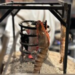 焼鳥ホルモン 炭焼き0式 - 