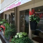 ザ ピンク ウィードカフェ - 南面、窓が広くて開放的な明るいカフェです