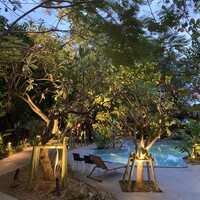 MOSS okinawa - 