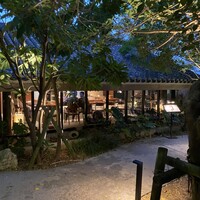 MOSS okinawa - 