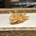 日本橋 蕎ノ字 - 