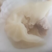 横浜中華街 重慶飯店 本館 - 