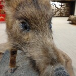 丹波篠山　近又 - 今日のメインは君だ❗