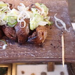 Una Fuji - Discovery of the First Toothpick