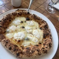 TRATTORIA PIZZERIA 207 渋谷店 -  TRATTORIA PIZZERIA 207 渋谷店 -