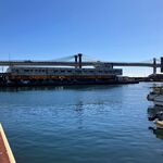 港のごはんやさん - '25/02/20 小田原漁港