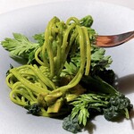 OTTO SETTE - 春菊とカーボロネロのリングイネ