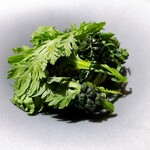 OTTO SETTE - 春菊とカーボロネロのリングイネ