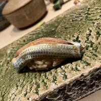鮨 たくま - 
