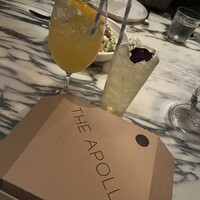 THE APOLLO - 