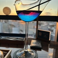 渋谷 Blue bird - 