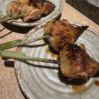始祖鳥 - 