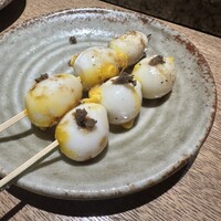 始祖鳥 - 