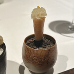 ラ・ヴァガボンド - 