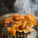 Tenma Gohan Tori Uma