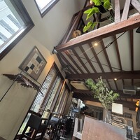 coci - 