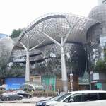 Li Xin Teochew Fish Ball Noodles - ION