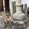 東大寺二月堂 - 