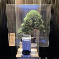 ささら庭 - 
