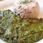 トーコーキッチン - サグチキンカレー