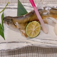 潮り - 