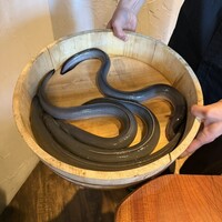 炭焼鰻 寝床 福島店 - 