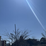 レイドバックバーガー - 