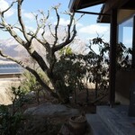 イロナキカゼ - 