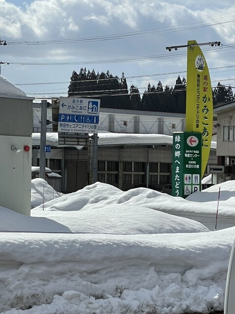 ほおずき亭 - 上小阿仁村その他（ラーメン）の写真