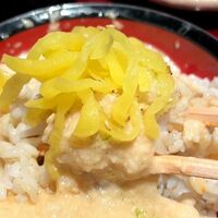 浅草むぎとろ 本店 - 