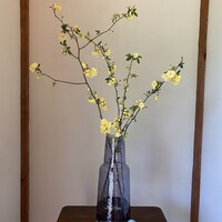 クッチーナ ベジターレ クォーレリッコ - 