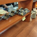 麺処 綿谷 高松店 - 