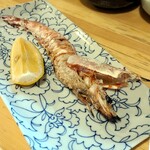 とんとん オダイドコロササオカ - 