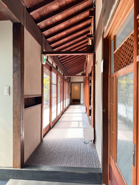 Kocha to Kashi Kino Ne photo 5