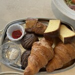 LAGOON TOOTH TOOTH - 