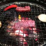 野野 - 上ハラミ