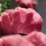 野野 - 厚切り上タン塩