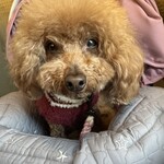 大衆食堂みゆき - 少しご機嫌