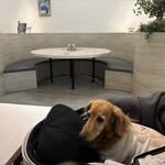 スイスレストラン セントバーナード 仙川店 - 