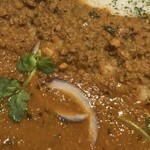 SPICE CURRY アルクロード - イカとチキンのキーマカレー　アップ