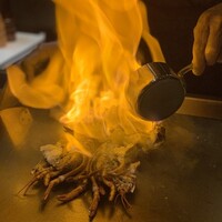 名駅 鉄板焼き 森本Ｘ Premium - 