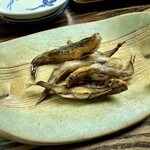 どんこ - メヒカリ