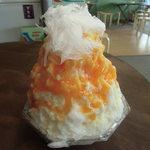 雪みるく - 杏カスタード